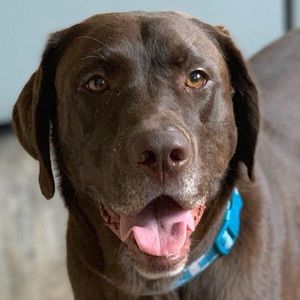 Meet your Posher, Scott